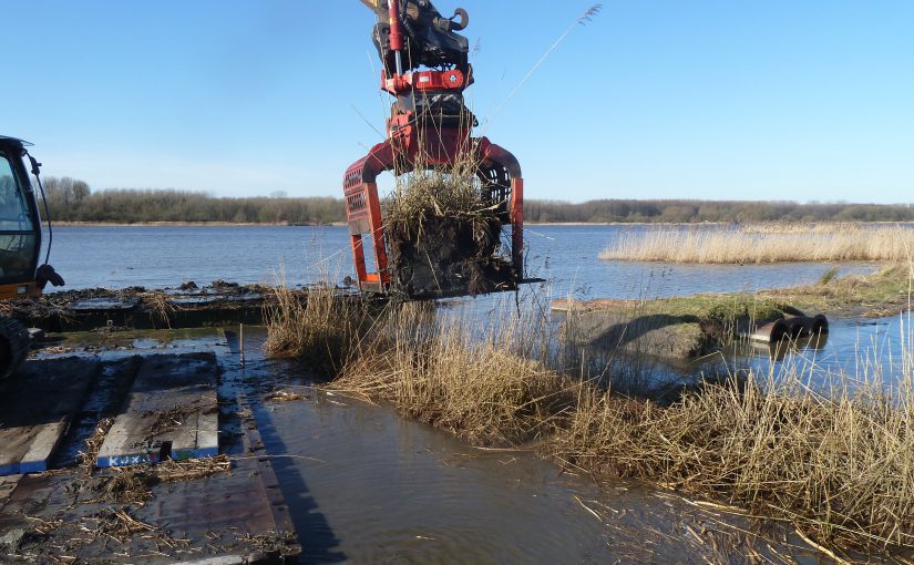 Rieteilanden vaargeul Reevediep